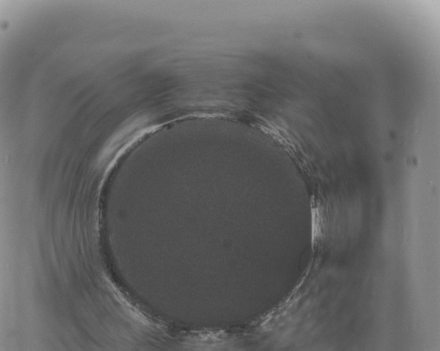 X0000061760243200512091708