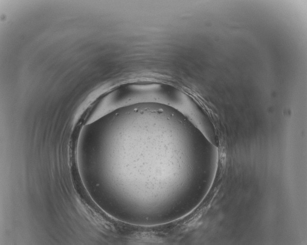 X0000061760244200512091708