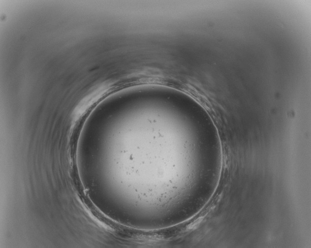 X0000061760245200512091708