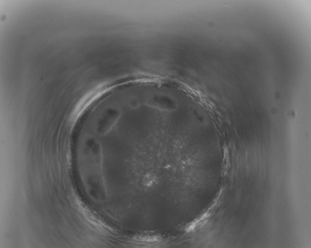 X0000061760247200512091708