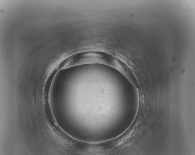 X0000061760248200512091708