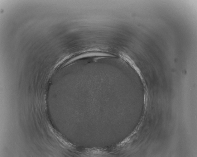 X0000061760249200512091708