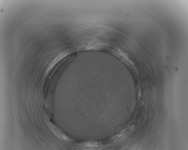 X0000061760250200512091708