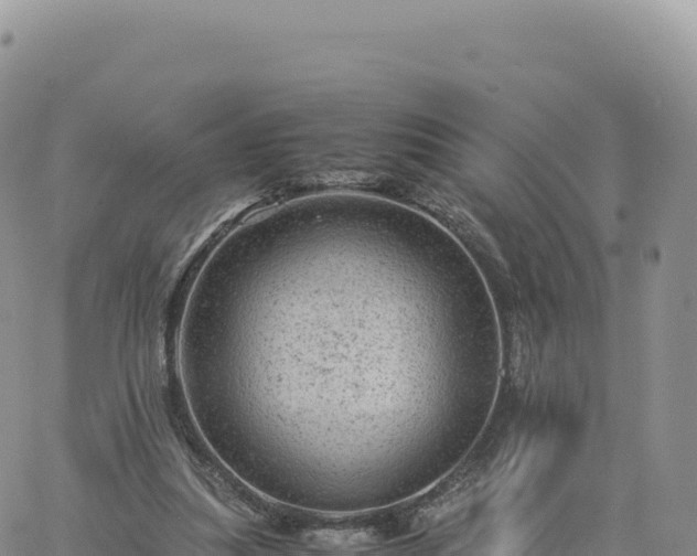 X0000061760251200512091708