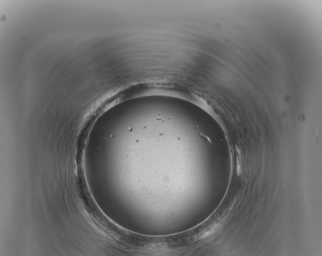 X0000061760252200512091708