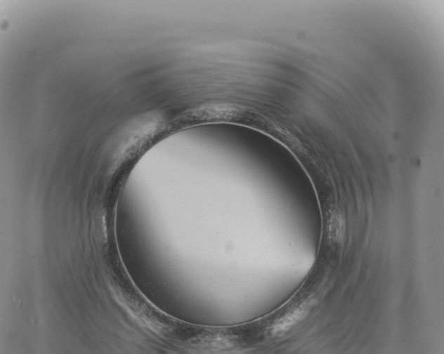 X0000061760254200512091708