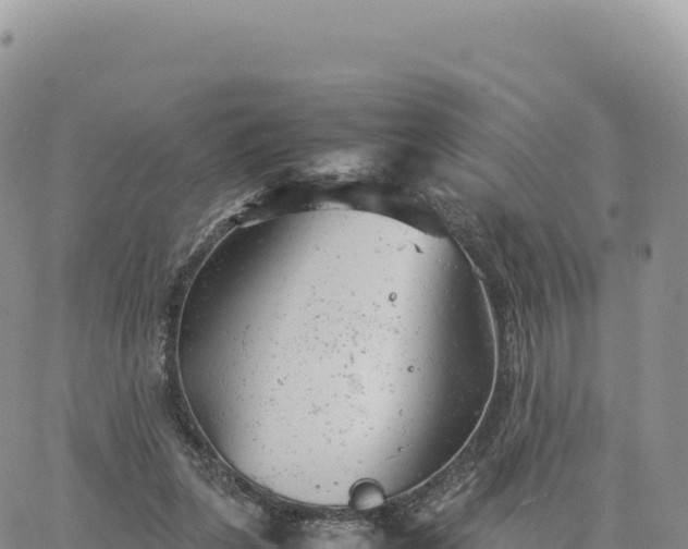 X0000061760255200512091708