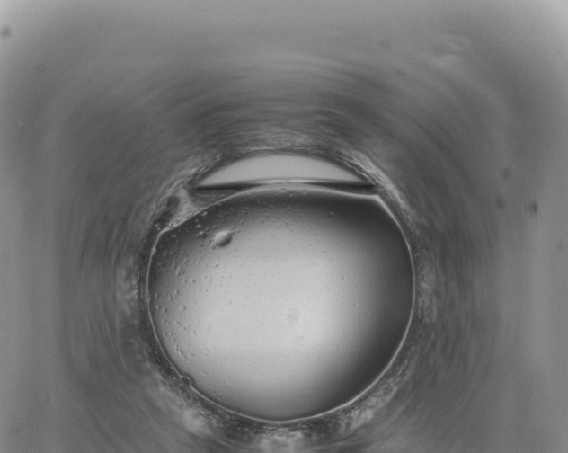 X0000061760257200512091708