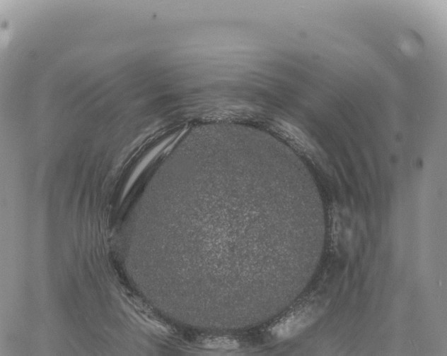 X0000061760258200512091708