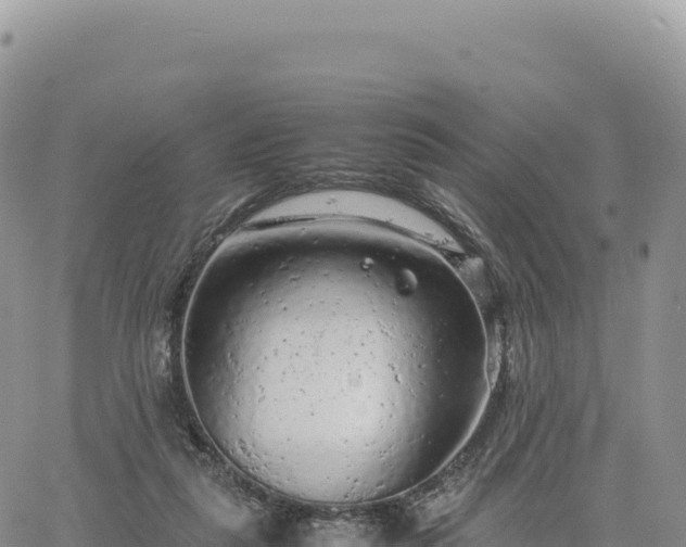 X0000061760259200512091708