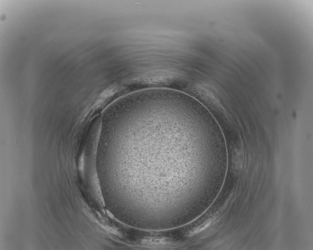 X0000061760260200512091708