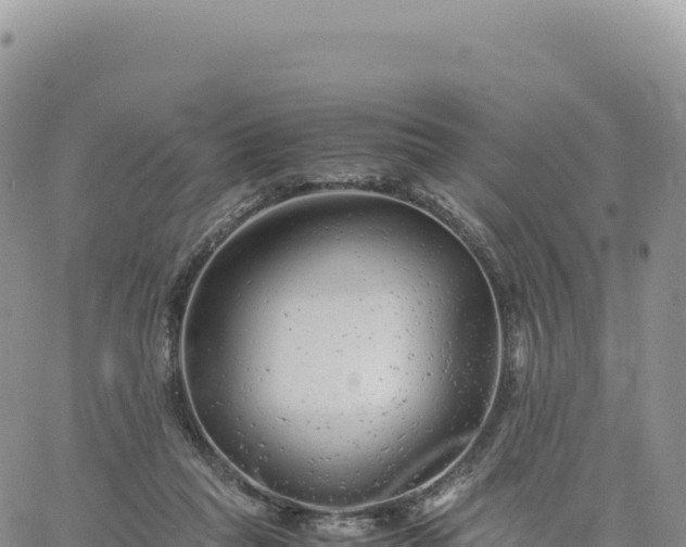 X0000061760261200512091708