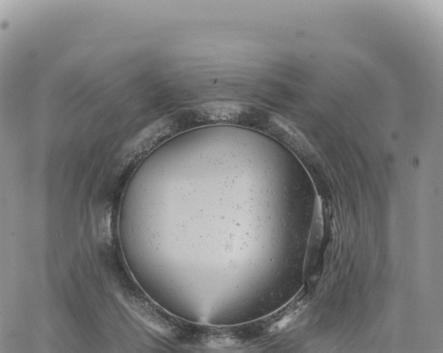 X0000061760262200512091708