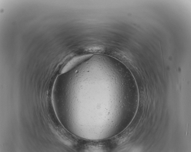 X0000061760263200512091708