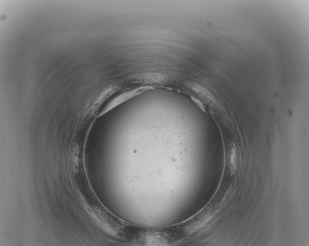 X0000061760264200512091709