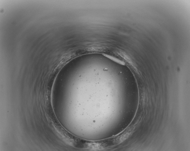 X0000061760265200512091709