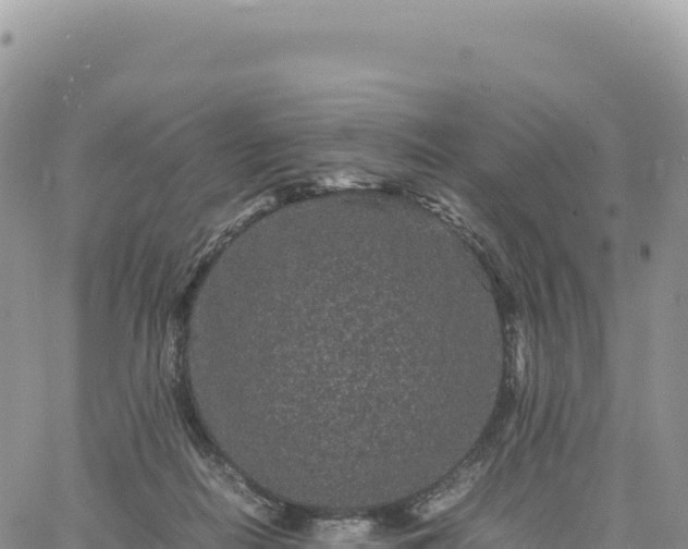 X0000061760266200512091709