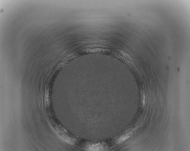 X0000061760267200512091709