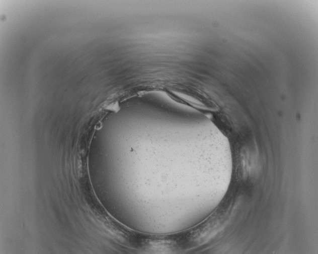 X0000061760268200512091709