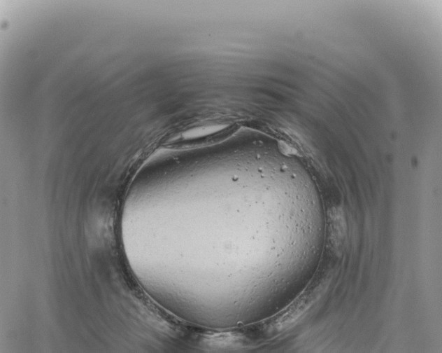 X0000061760269200512091709