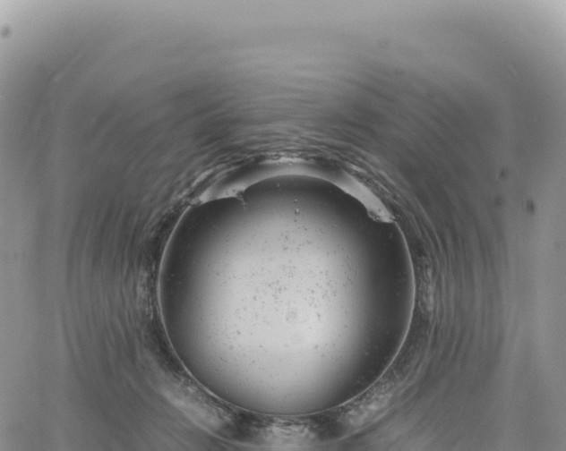 X0000061760270200512091709