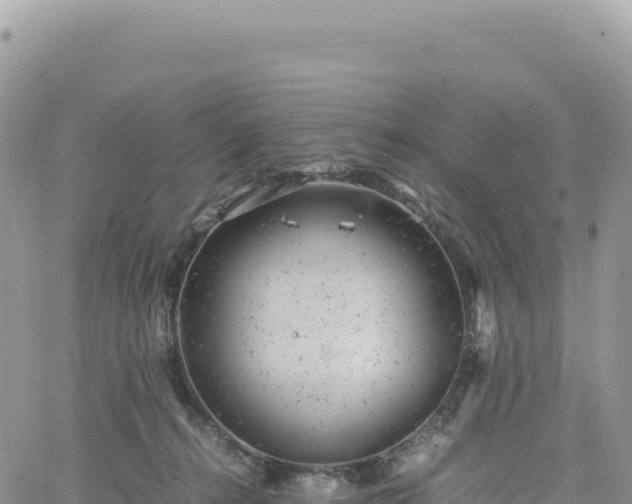 X0000061760272200512091709