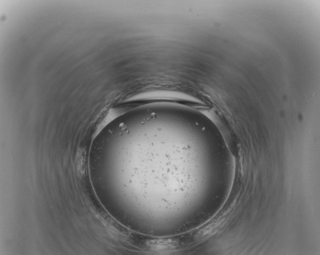 X0000061760273200512091709