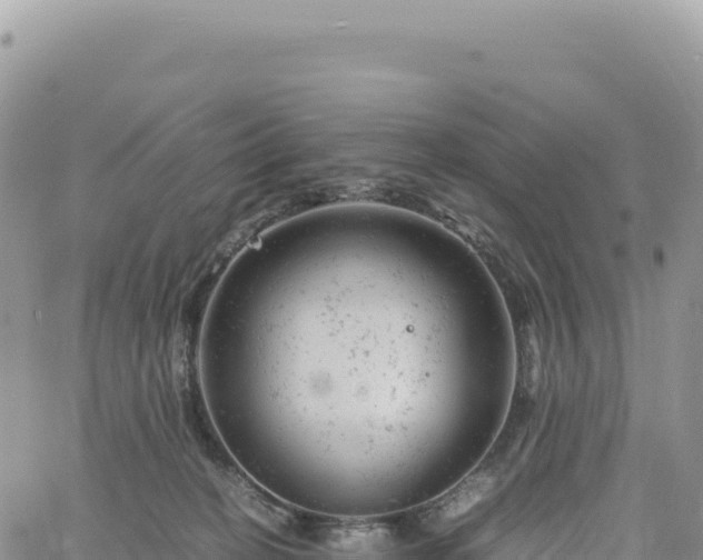 X0000061760274200512091709