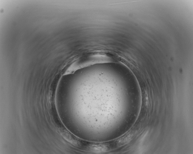 X0000061760275200512091709