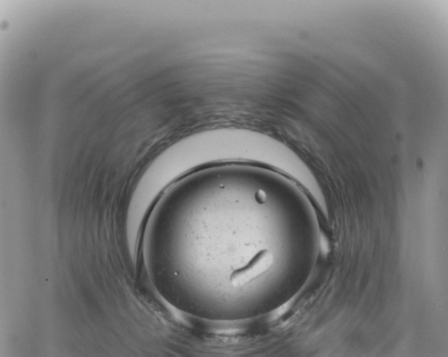 X0000061760276200512091709