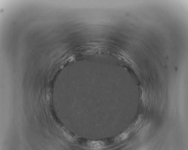 X0000061760277200512091709