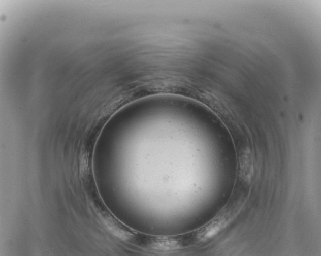 X0000061760278200512091709