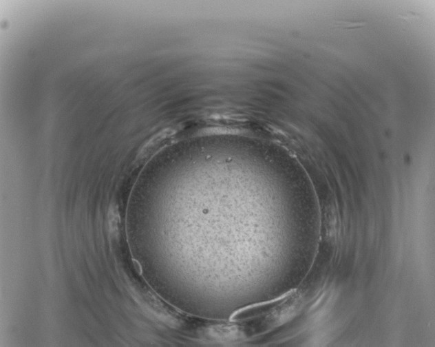 X0000061760279200512091709