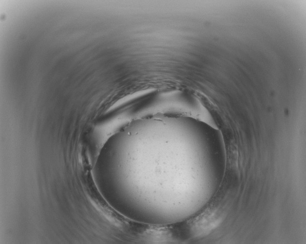 X0000061760280200512091709