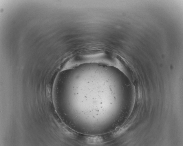 X0000061760281200512091709