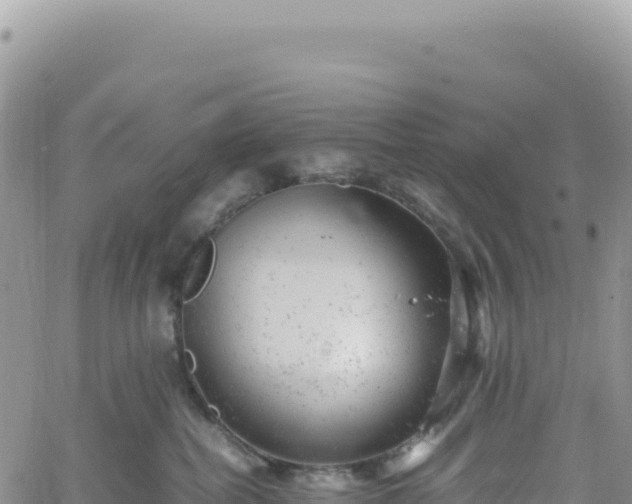 X0000061760282200512091709