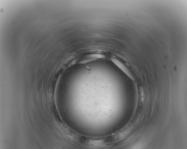 X0000061760283200512091709