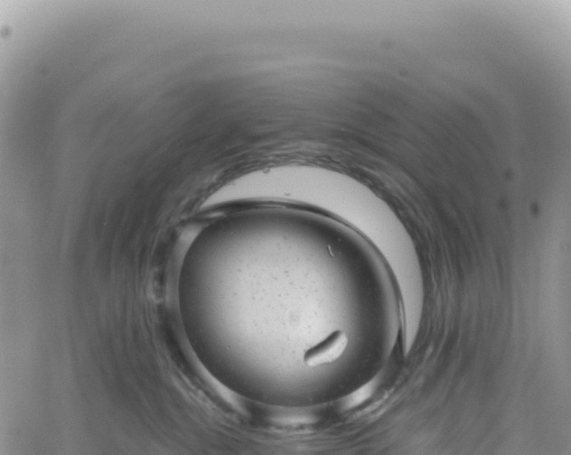 X0000061760284200512091709