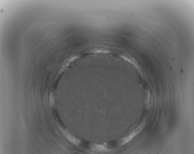 X0000061760285200512091709