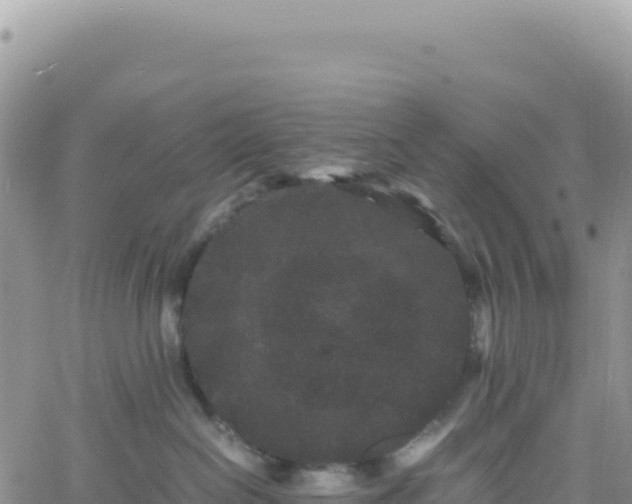 X0000061760286200512091709