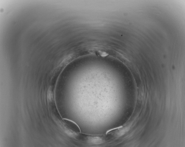 X0000061760287200512091709