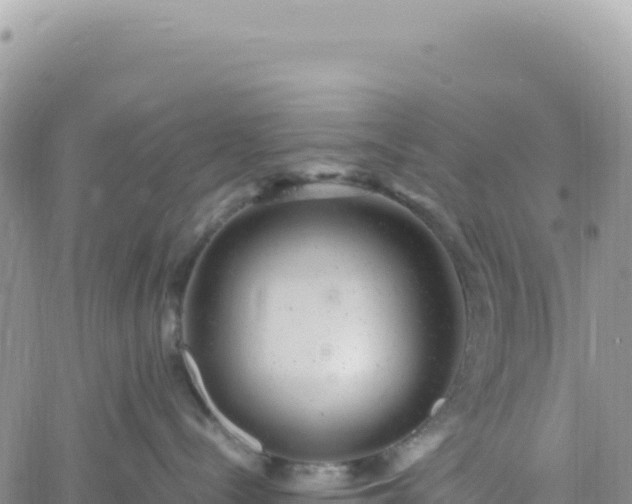 X0000061760288200512091709