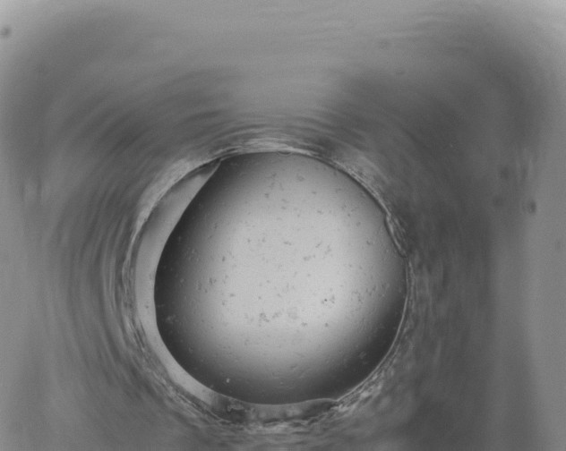 X0000061760289200512091708