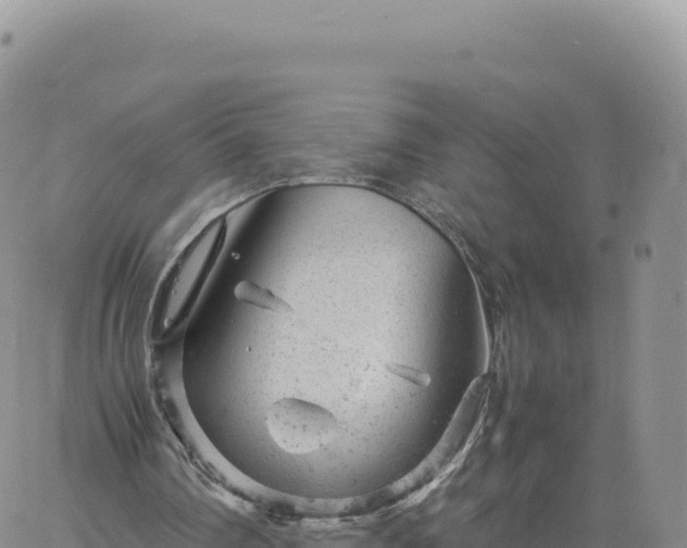 X0000061760290200512091708