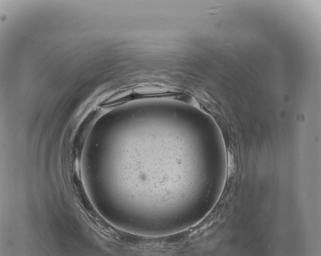 X0000061760291200512091708