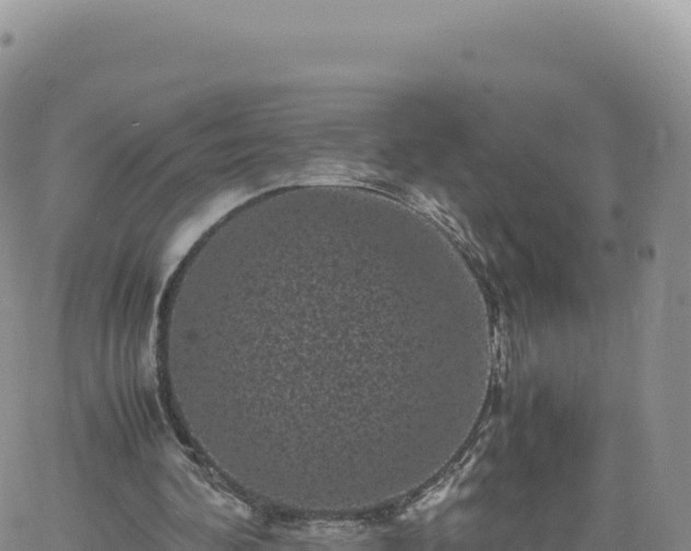 X0000061760292200512091708