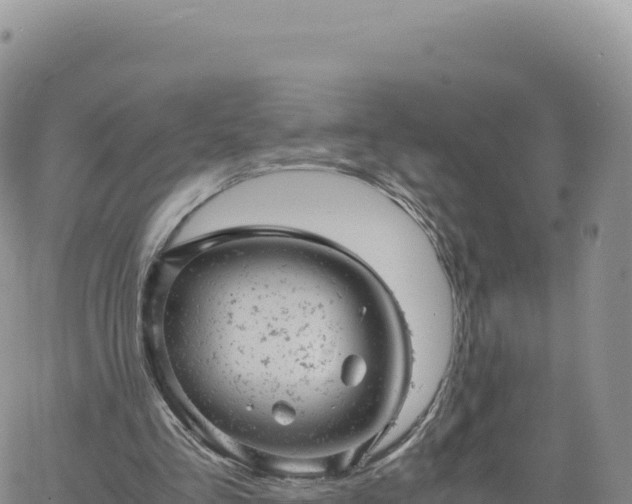 X0000061760293200512091708