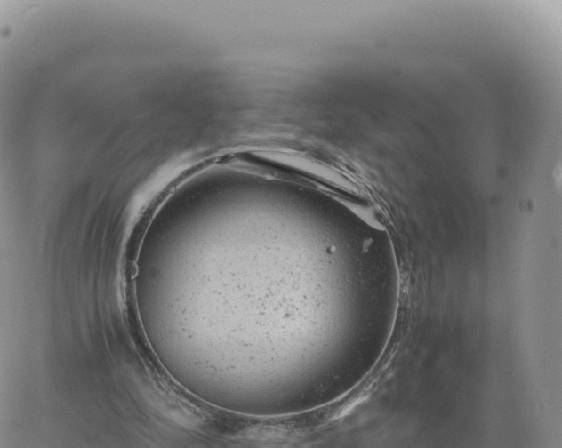 X0000061760294200512091708