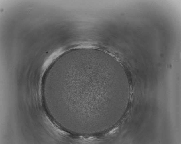 X0000061760296200512091708