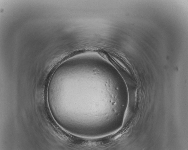 X0000061760299200512091708